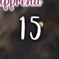 Jour 15