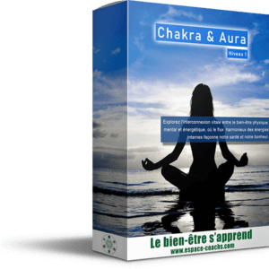 Chakras et aura -Soin - Formation