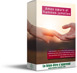 Est-ce que 2 flammes jumelles finissent en couple