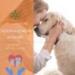 Communication animale niv 1 - Formation 13.3.23