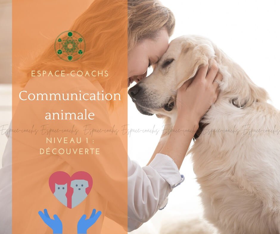 Communication animale niv 1 - Formation 23.3.23