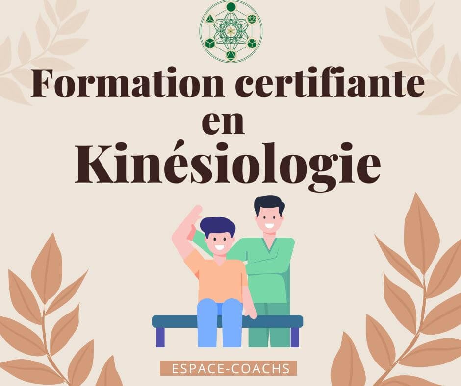 Kinésologie 11/20 - Formation 20.4.23