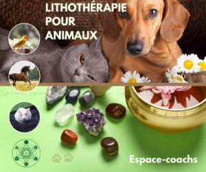 Lithothérapie pour animaux