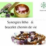 Litho synergies et chemin de vie - Formation 17.3.23
