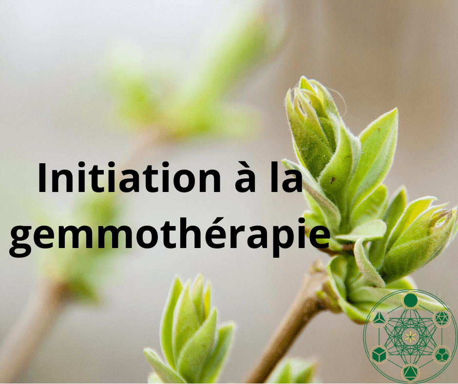 Gemmothérapie- Initiation certifiante 30.7.23