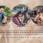 Communication Animale Intuitive - Formation certifiante le 20/04/2024 à Verlaine