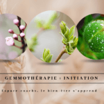 Gemmothérapie - Initiation certifiante - 18 mars 2024