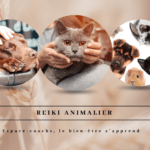 Reiki animalier - Formation 9/4/24