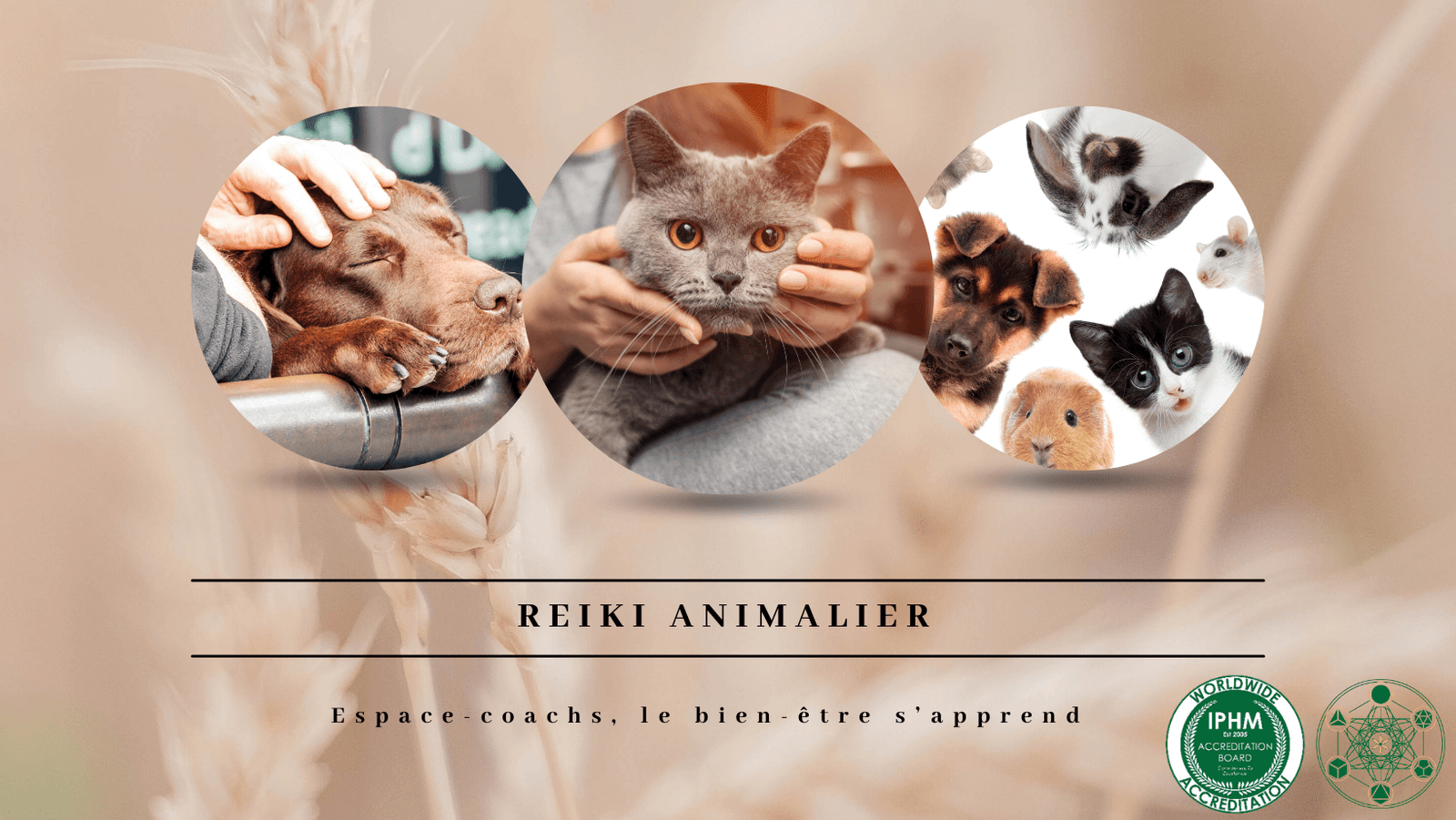 Reiki animalier - Formation 9/4/24