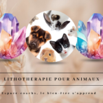 Lithothérapie pour animaux - Formation 2.6.24 à Verlaine