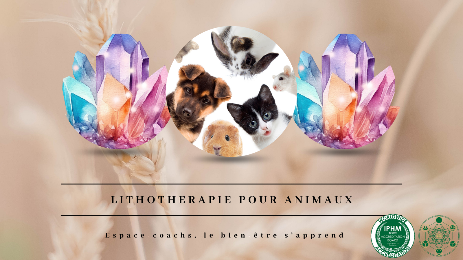 Lithothérapie pour animaux - Formation 2.6.24 à Vielsalm