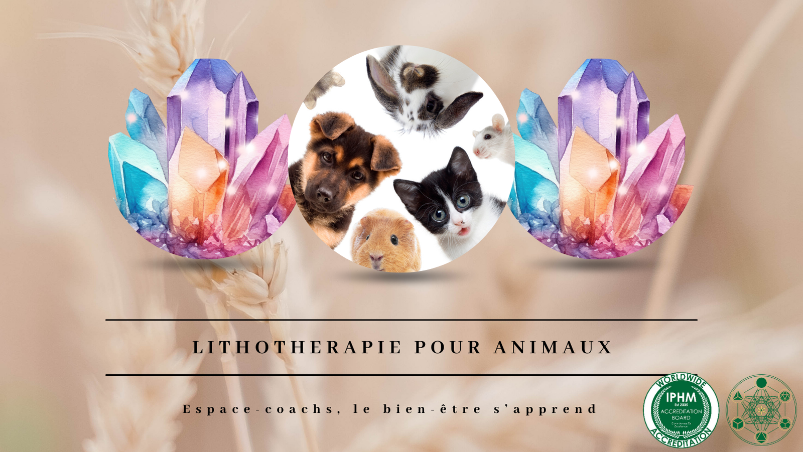 Lithothérapie pour animaux - Formation 2.6.24 à Verlaine