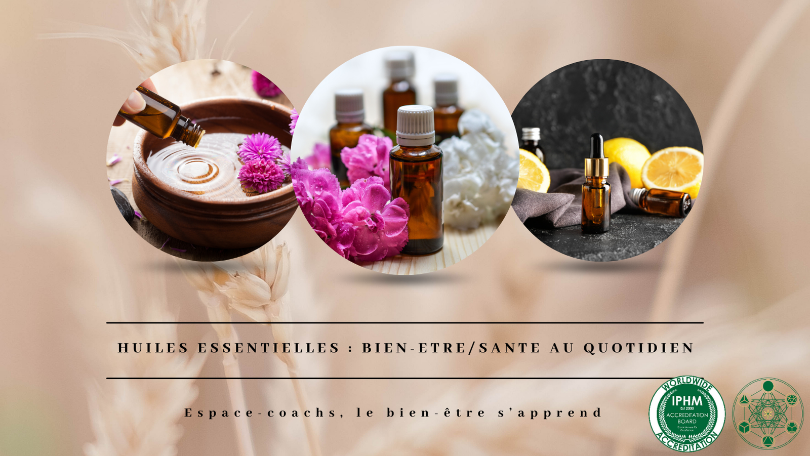 Huiles essentielles & bien-être/santé - Formation 2.9.24 à Verlaine