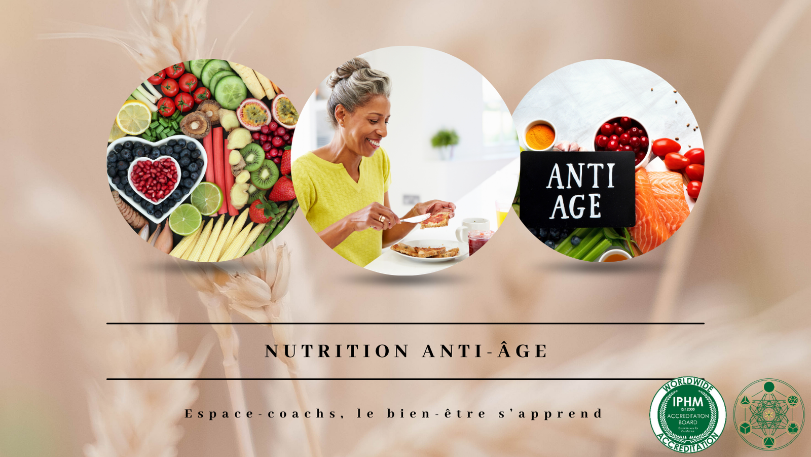 Nutrition anti-âge - Formation 23.9.24 à Verlaine