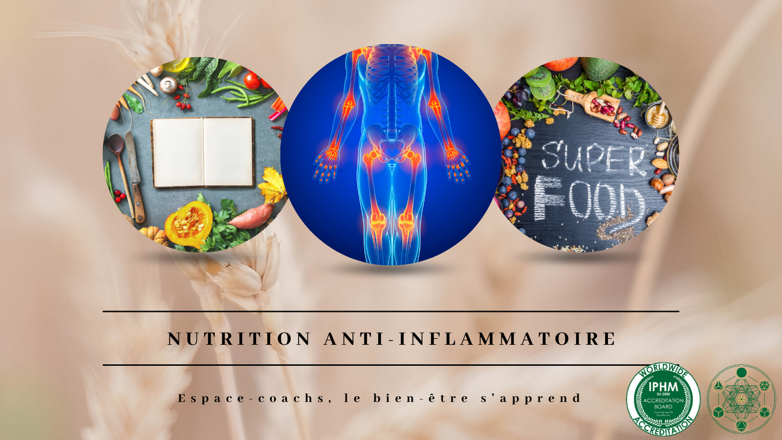 Nutrition anti-inflammatoire - Formation 15/4/24 à Verlaine