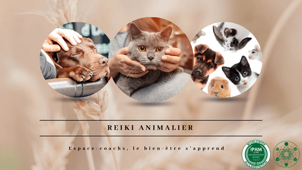 Reiki animalier - Formation 27/7/24