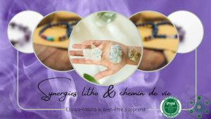 synergies litho chemin de vie x