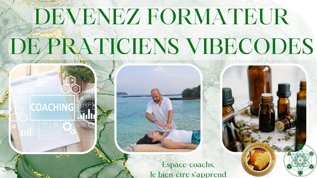 Vibe Codes praticien + formateur - Formation 12+13.8.24 à Verlaine