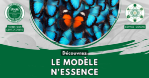 Design 2025 – Le modèle N’Essence (Dev perso)