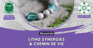 Design 2025 – Litho Synergies & Chemin de Vie (Energetique et spiritualité)