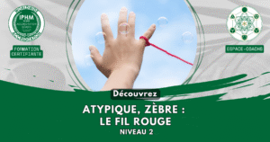 Design 2025 -Atypique, zèbre LE FIL ROUGE NIV 2 (Dev perso)