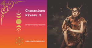 Formation en chamanisme - niveau 3 Chamanisme 3